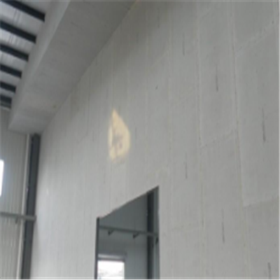 仪陇宁波ALC板|EPS加气板隔墙与混凝土整浇联接的实验研讨